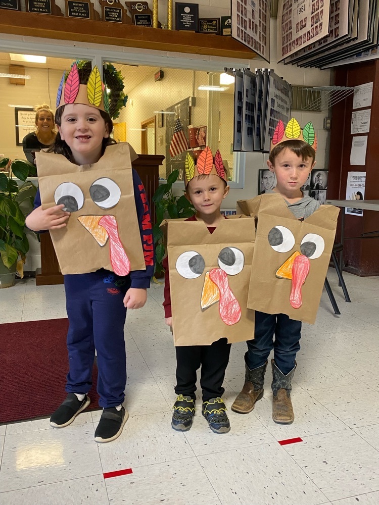 turkeys