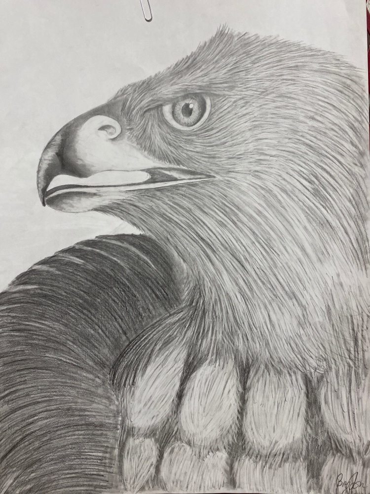drawing